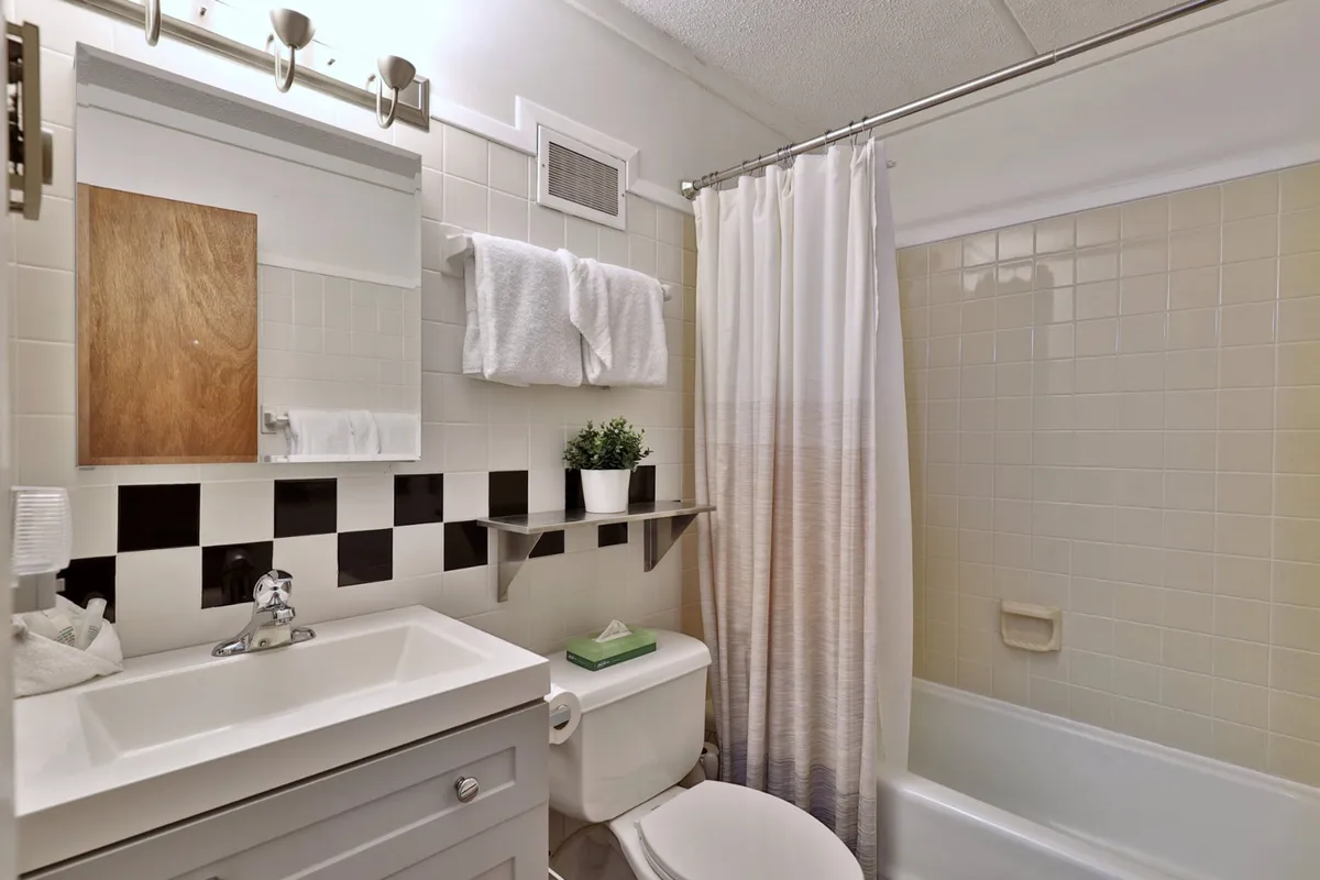 A modern bathroom scene with a stylish vanity, black and white tile backsplash, a potted plant for freshness, and a shower curtain visible to the side. The space is bright and neatly organized, perfect for morning routines or relaxing after outdoor adventures.
