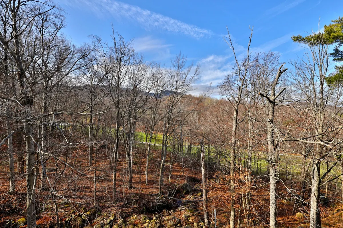 This serene view showcases bare trees and a distant mountain range beyond an open green field. The scene suggests the proximity of hiking and biking trails, as well as opportunities for mountain exploration and observing wildlife. The tranquil environment highlights the natural beauty and adventure awaiting nearby.